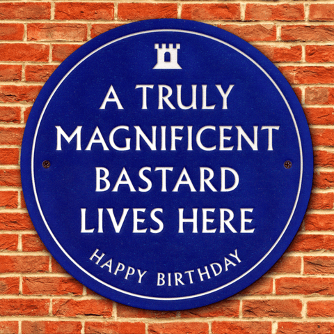 Birthday CardBrainbox CandyComedy Card CompanyMagnificent Bastard