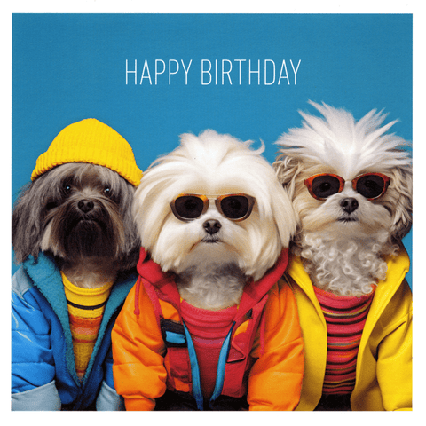 Birthday CardIconComedy Card CompanyDogs - Happy Birthday