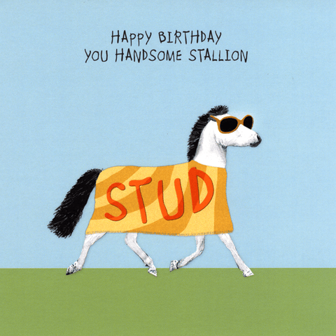 Birthday CardSally ScaffardiComedy Card CompanyHandsome stallion