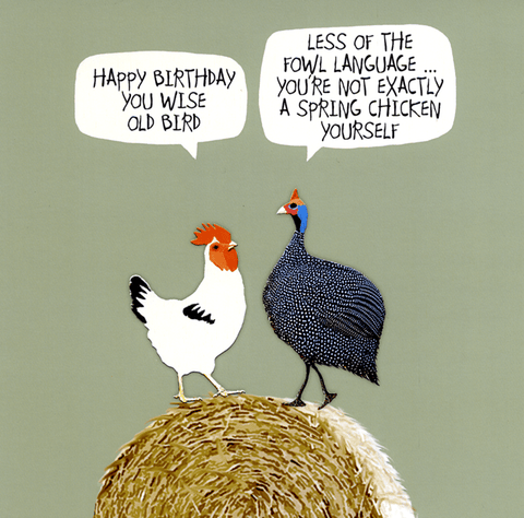 Birthday CardSally ScaffardiComedy Card CompanyWise old bird