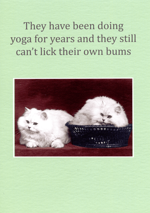 Funny CardsCath TateComedy Card CompanyYoga for years