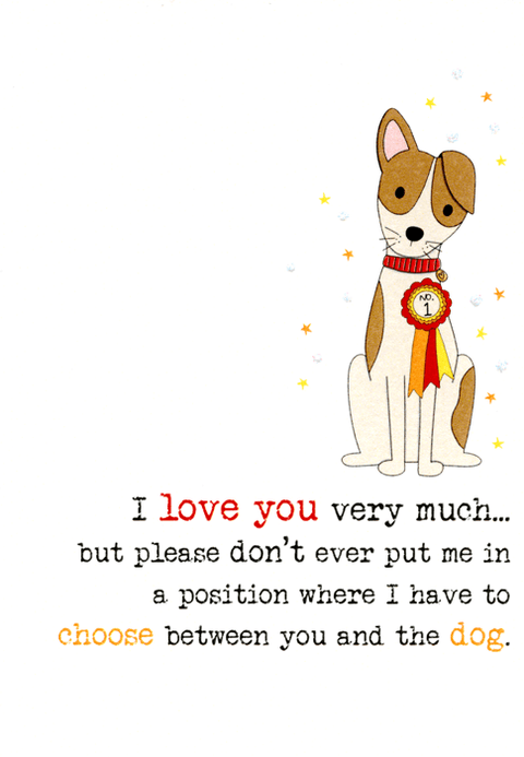 Funny Greeting CardDandelion StationeryComedy Card CompanyYou or the Dog