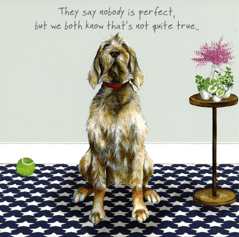 humorous greeting cardLittle Dog LaughedComedy Card CompanyNobody is perfect