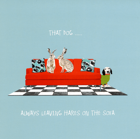 humorous greeting cardSally ScaffardiComedy Card CompanyLeaving hares on the sofa