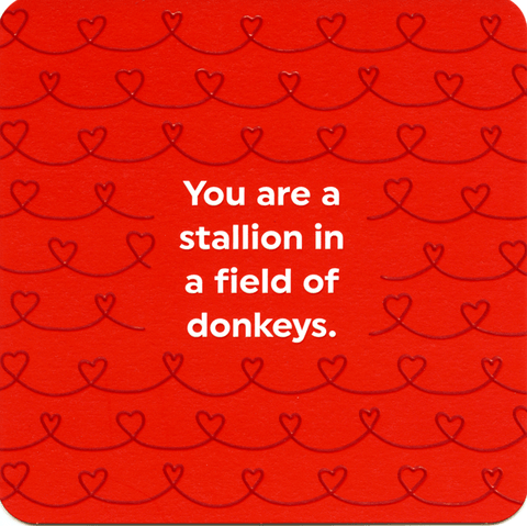 Love / Anniversary cardsBrainbox CandyComedy Card CompanyStallion amongst Donkeys