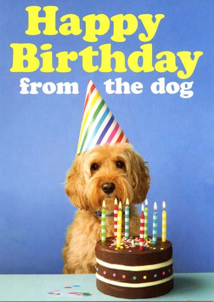 Funny card by Dean Morris - Happy birthday from Dog – Comedy Card Company