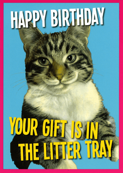 Birthday Card Kiss Me Kwik Birthday Gift Is In The Litter Tray Comedy 