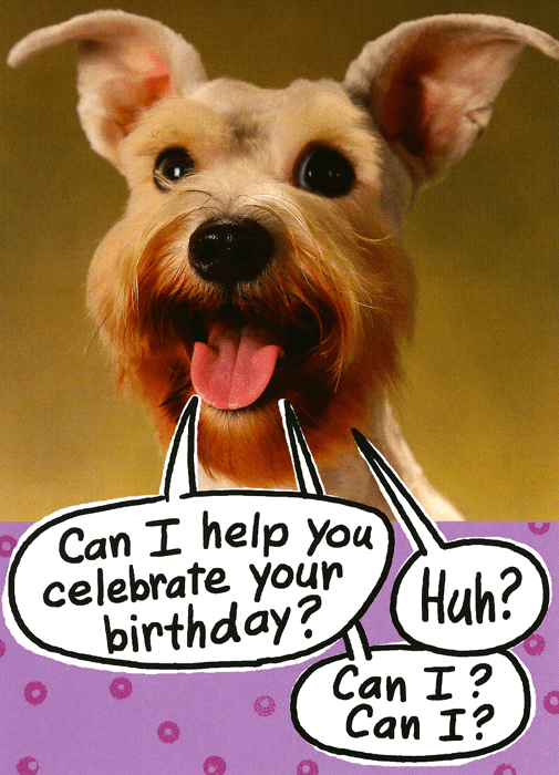 Birthday Card UK Greetings Dog - help celebrate your birthday Comedy ...